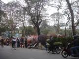 Hải phòng đón tết Tân mão (2011) Hải phòng đón tết Tân mão (2011)