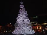 Christmas tree in vicinity of SPACE NEEDLE of SEATTLE.