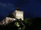 Werdenberg castle Werdenberg castle