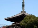 Ninna-ji