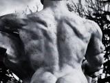 BODYBUILDER... Shaped by time and.... sculptor!!