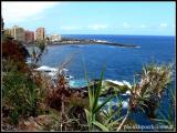 Blick auf Hotels in Puerto de la Cruz Blick auf Hotels in Puerto de la Cruz