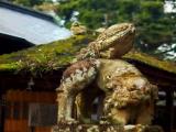 The Um of the Matsue Shrine The Um of the Matsue Shrine