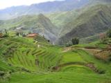 Sapa Sapa