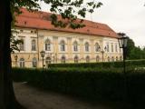 Baumschatten by Niederkasseler Baumschatten by Niederkasseler