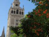 Zumo de Giralda