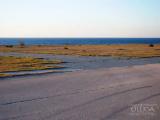 Runway of an abandoned military airfield Runway of an abandoned military airfield