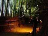 Syoreninmonzeki 青蓮院門跡 Syoreninmonzeki 青蓮院門跡