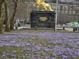 Frühling Frühling