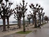 Esplanade in Gmunden Esplanade in Gmunden