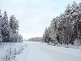 Заснеженная дорога