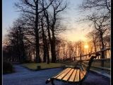 Les bancs au soleil couchant