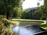 Mill Race at Willamette University