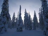 Lappi 02