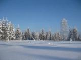 Lappi 04