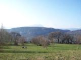 Garda(VR)-Monte Luppia visto dalla Rocca Garda(VR)-Monte Luppia visto dalla Rocca