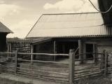 Martynovo. Barnyard / Мартыново. Скотный двор Martynovo. Barnyard / Мартыново. Скотный двор