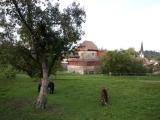 Schloss Hagenwil Schloss Hagenwil