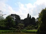 Felsenlandschaft "Mit freundlicher Genehmigung vom Tierpark Hagenbeck" Felsenlandschaft "Mit freundlicher Genehmigung vom Tierpark Hagenbeck"