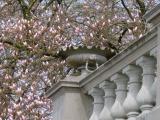 Le printemps - Le printemps -