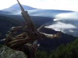 El Teide, Tenerife