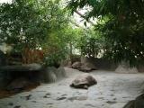 Želvy sloní (Geochelone nigra) v Pavilonu velkých želv, Zoo Praha Želvy sloní (Geochelone nigra) v Pavilonu velkých želv, Zoo Praha