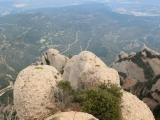 Montserrat*