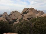Montserrat*