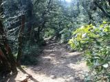 Montserrat*