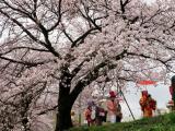 富山市桜木町 富山市桜木町