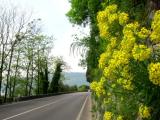 Strade del Garda - Primavera Strade del Garda - Primavera