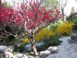 บรรยากาศยามฤดูใบไม้ผลิ Spring scenery 春季 บรรยากาศยามฤดูใบไม้ผลิ Spring scenery 春季