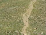 Path on Dogee mountain Path on Dogee mountain