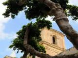 St John's Co-Cathedral (La Valletta) St John's Co-Cathedral (La Valletta)