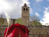 2581.Sant Jordi, Sant Cugat 007