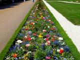 Spring gardens in Charlottenburg, Germany Spring gardens in Charlottenburg, Germany