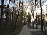 Школа