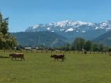 Garmisch-Partenkirchen Garmisch-Partenkirchen