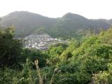 みどり坂から見たみつぎ団地 みどり坂から見たみつぎ団地