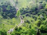 Pista ciclabile Pista ciclabile