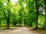 park