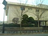 Court Court