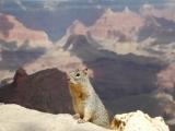 Grand Canyon Grand Canyon