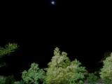 Al Ain Green Mubazarrah Park 