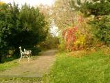 Парк біля памятника художникам Бокшай та Ердели | Park near monument to Boshkay and Erdeli painters 22.10.10 Парк біля памятника художникам Бокшай та Ердели | Park near monument to Boshkay and Erdeli painters 22.10.10