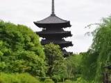 Thoji Temple / Kyouoh Gokokuji Temle Thoji Temple / Kyouoh Gokokuji Temle