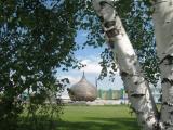 Берёзы + купол / Birch + Cupola Берёзы + купол / Birch + Cupola