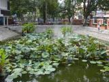Pond of Washing Sword (สระล้างดาบ) Pond of Washing Sword (สระล้างดาบ)