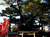 Sumiyoshi Shrine / 住吉大社