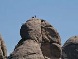 Formigues de Montserrat, Montserrat, el Bages, catalunya, Països Catalans, Europa...